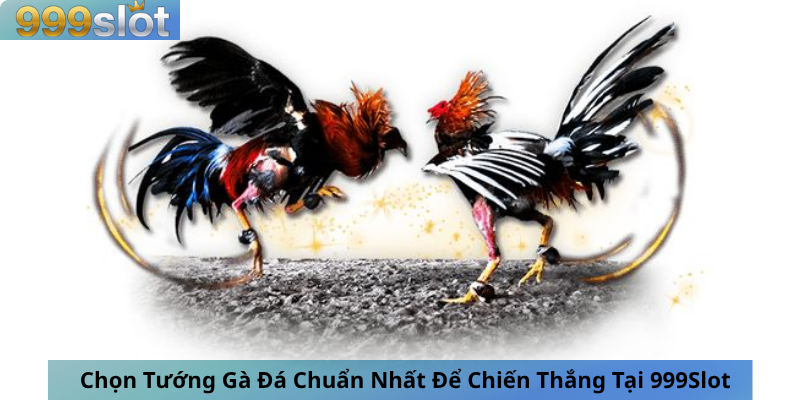 Chọn Tướng Gà Đá Chuẩn Nhất Để Chiến Thắng Tại 999Slot