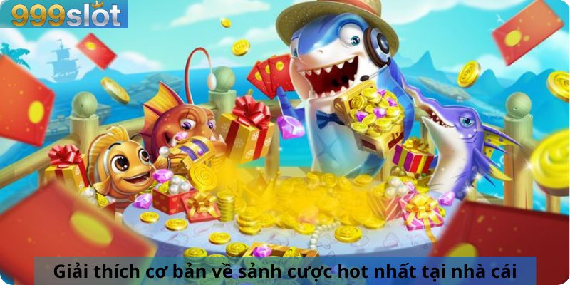 Giải thích cơ bản về sảnh cược hot nhất tại nhà cái