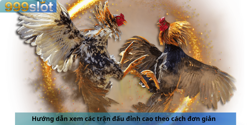 Hướng dẫn xem các trận đấu đỉnh cao theo cách đơn giản