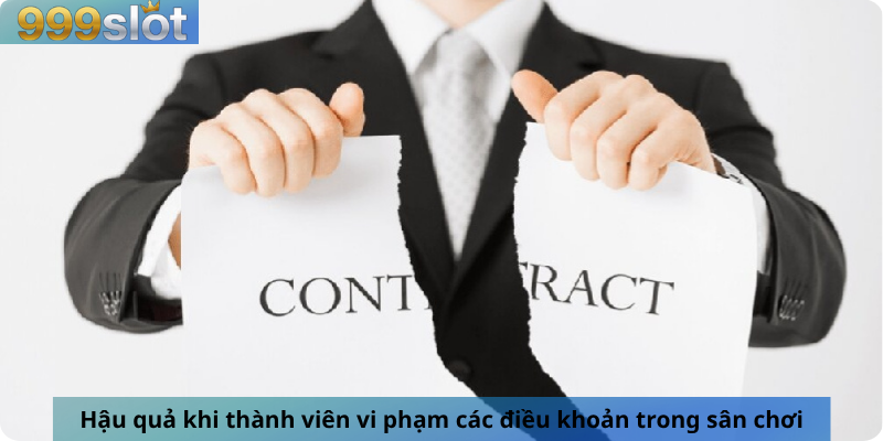 Hậu quả khi thành viên vi phạm các điều khoản trong sân chơi