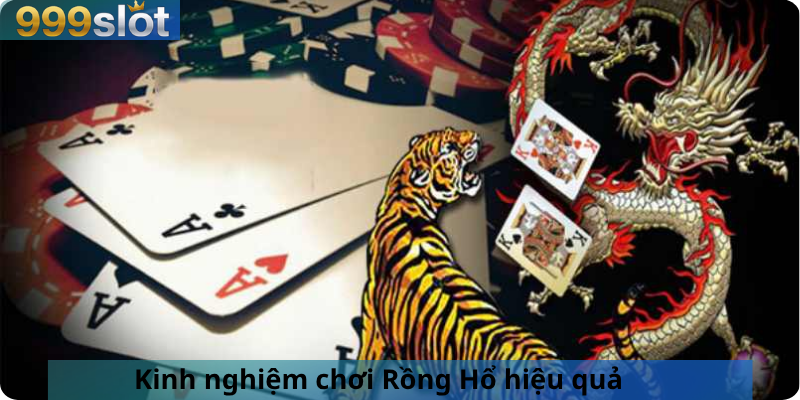 Kinh nghiệm chơi Rồng Hổ hiệu quả 